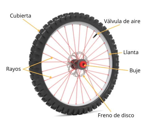 Partes de una rueda de bici